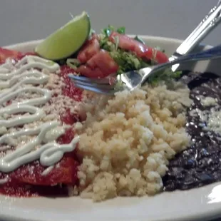 Chicken enchiladas plate