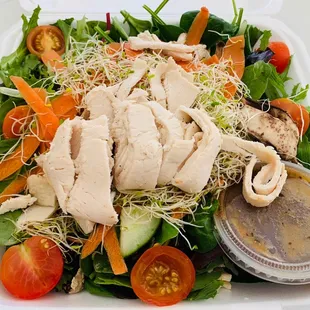 Garden Salad add protein