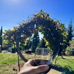 Relaxing and beautiful scene.