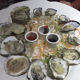 Oysters