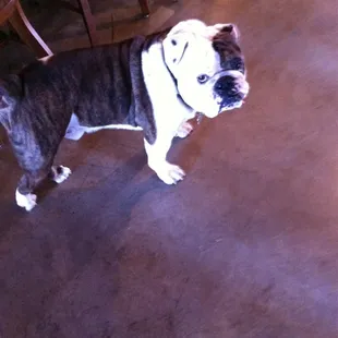 This is Cork. He runs the place.