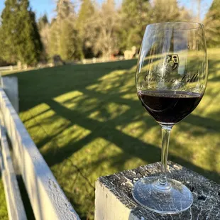 Red Blend with the Alpacas in the pasture.