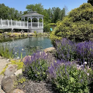 Gazebo and pond