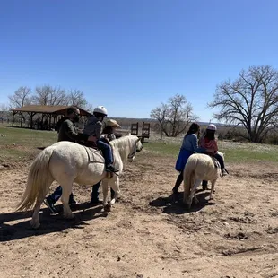 Pony ride. Kid has to wear a helmet and parent has to hold kid.