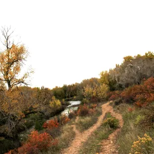 looking back over our path toward the river.