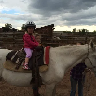 Natcho - a perfect horse for our little 2 yr old sweetheart!