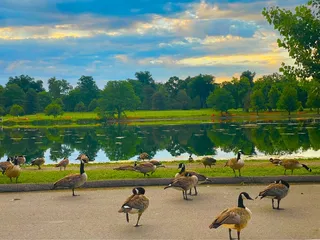 Washington Park