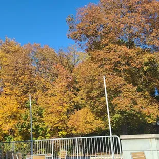 October so all the trees have beautiful colors.