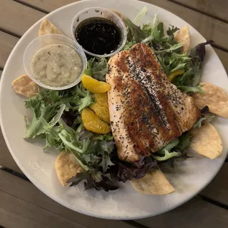 Salmon Salad