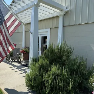 Rosemary shrub at winery entrance