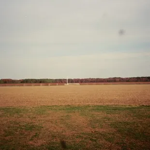 Vineyards at Chatham