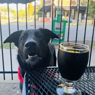 Millie and the Lupulin