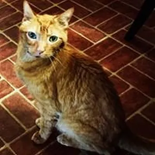 Robert S.