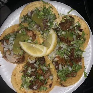 Tripa