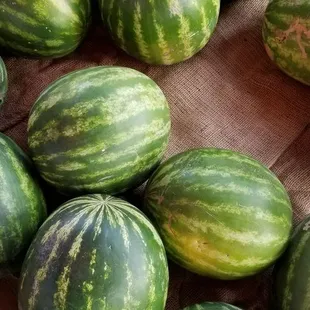 Local, fresh watermelons
