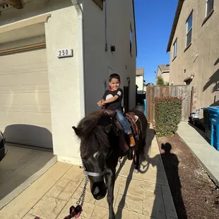 Gilroy Party, pony rides in the city!