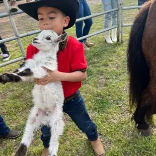 Playing with Zoo animals