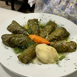 Dolma