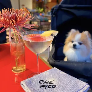 Vesper Martini | $18 (dog-friendly patio!)