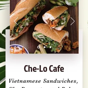 This is off the website, and this is what the sandwiches used to look like. My, my, how far you've fallen my sweet Che-Lo.