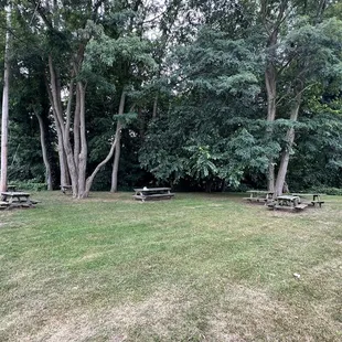 Small copse of trees with picnic tables to relax in Nature &amp; eat a greasy burger!