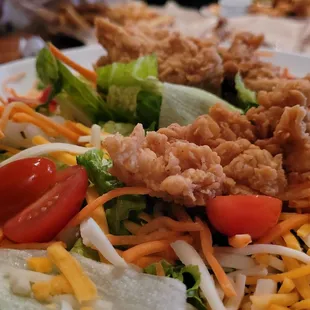 Crispy Chicken Salad with Ranch on the side