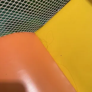 Hair laying on the mats