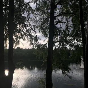 a view of a lake through the trees