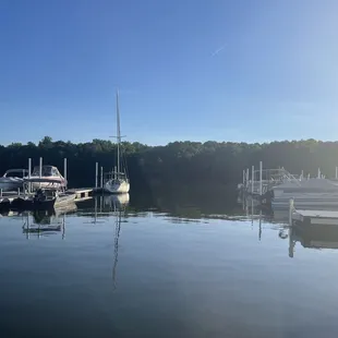 boats docked at a dock