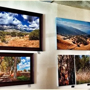 Local artwork for decor and for sale!