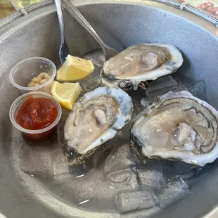 Oysters