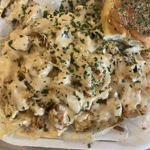 Chicken Alfredo pasta