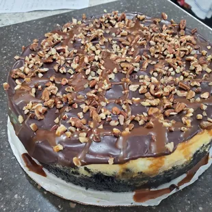 Turtle Cheesecake