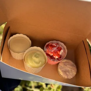 Plain, Lime, Raspberry, Blueberry