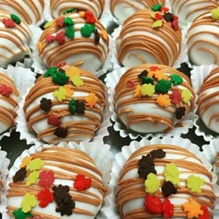 a tray of chocolate covered cheesecakes