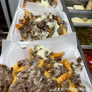 Beef cheesesteak fries