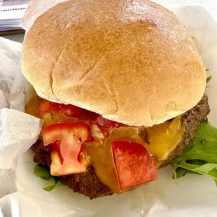 Plain Jane Cheeseburger