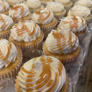 Salted caramel cupcakes
