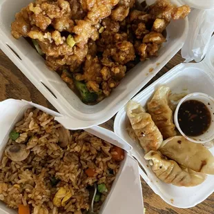 Vegetable Fried Rice, General Tao&apos;s Chicken, and Pot Stickers...  Pretty Good!