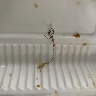 the inside of a dirty microwave