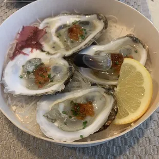 Oysters