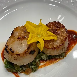Hokkaido scallops