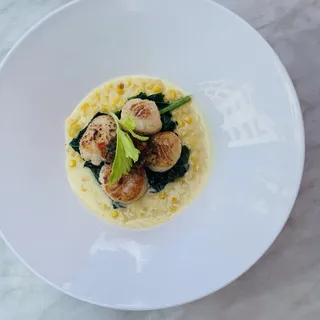 Scallops