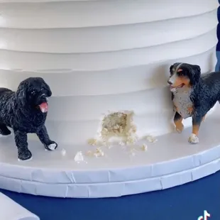 Chef Gina did my BFF&apos;s wedding cake, and it went viral on TikTok!