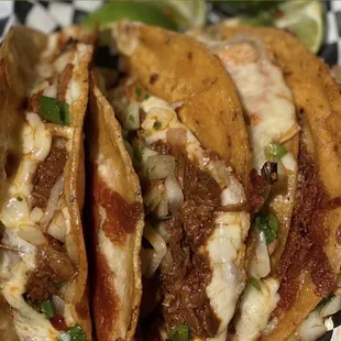 Beef &amp; Chicken Birria