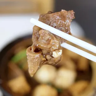 Beef brisket from the Beef Stew &amp; Tofu Claypot