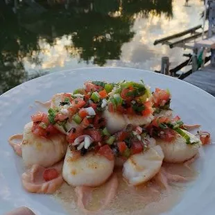 a plate of scallops
