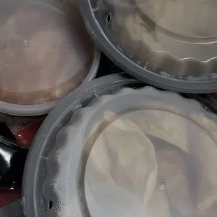 Pan Fried Dumpings
