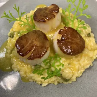 Meyer Lemon risotto, seared diver scallops