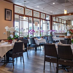 Orchids are all for sale in the restaurant.